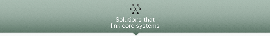 Solutions that link core systems