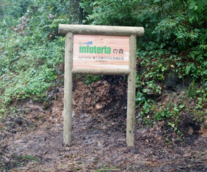 イメージ：「インフォテリアの森」を小国町内に設置